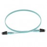 Patch Cord FO. LC-LC, 50/125µm 1m Panduit Multimodo Duplex, 10 GbE, OM3. Aqua.